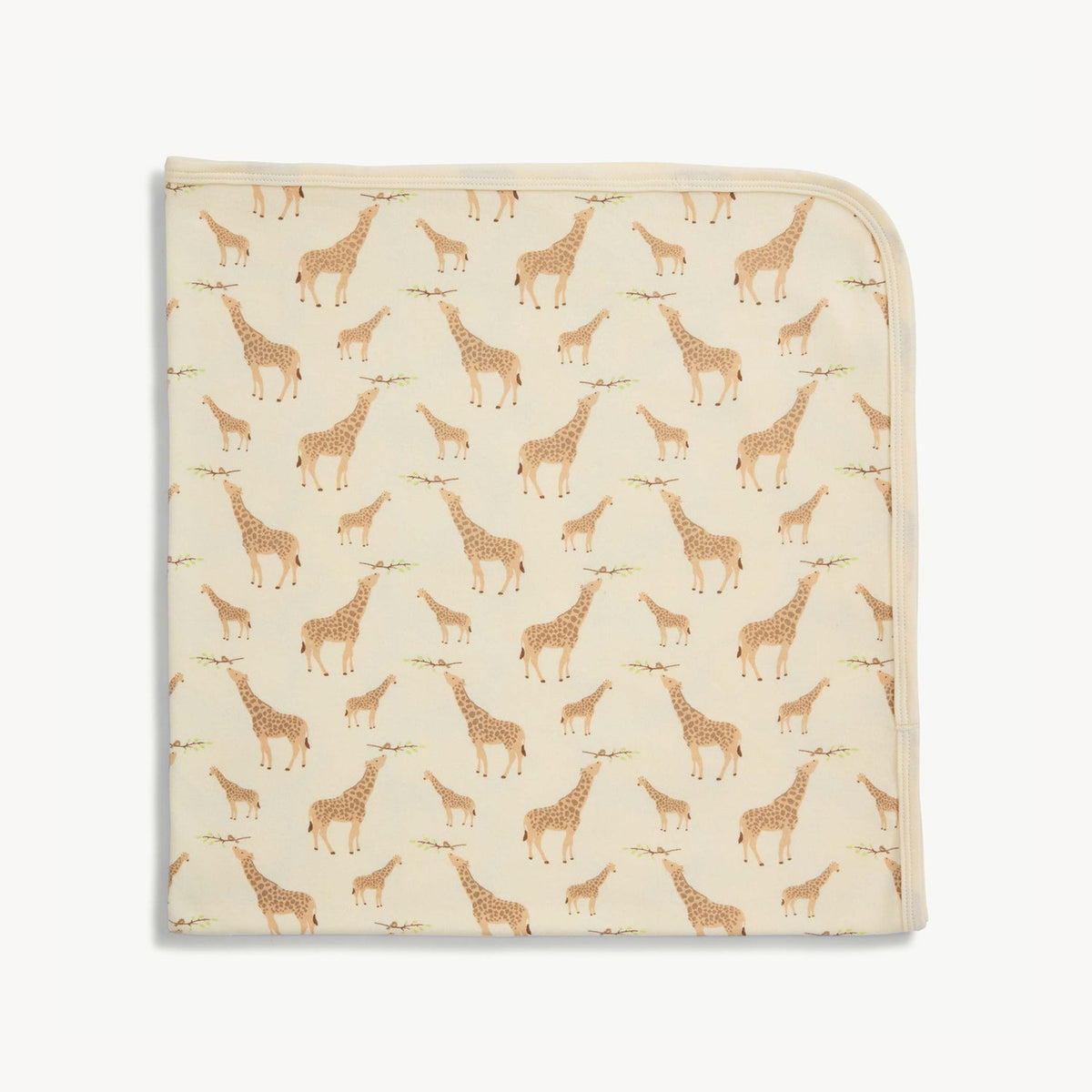 Magnetic Me Baby Blanket