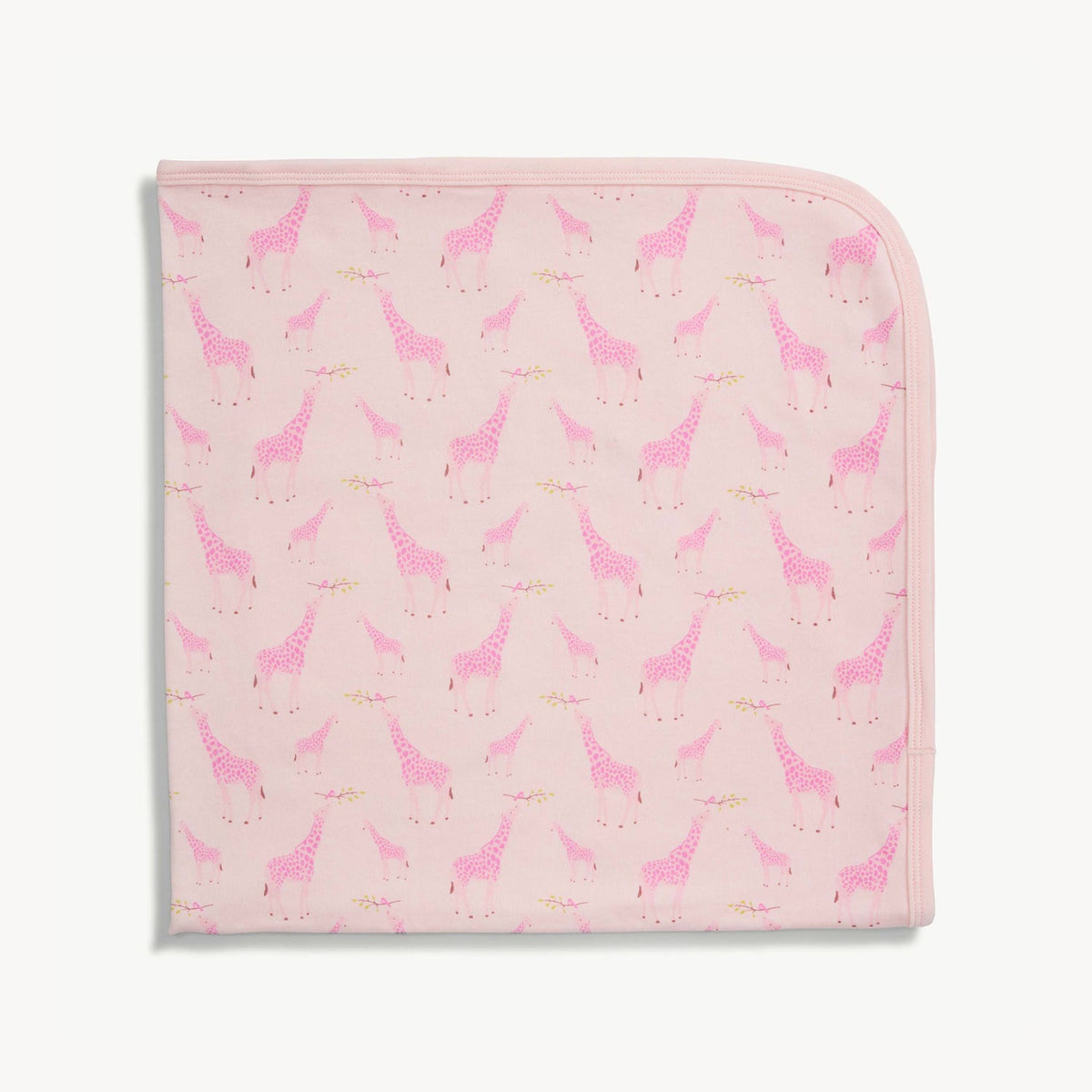Magnetic Me Baby Blanket