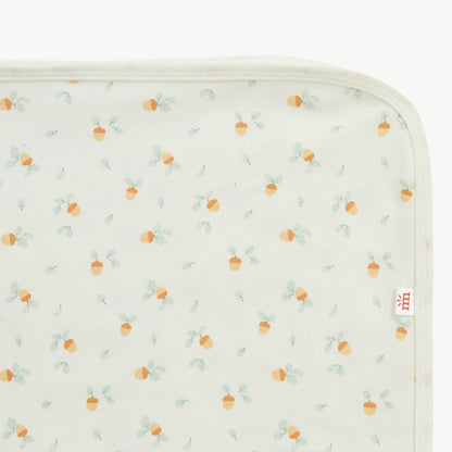Magnetic Me Baby Blanket