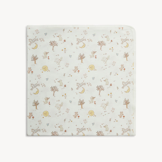 Magnetic Me Baby Blanket
