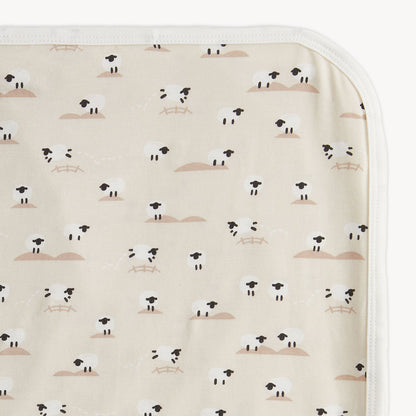 Magnetic Me Baby Blanket