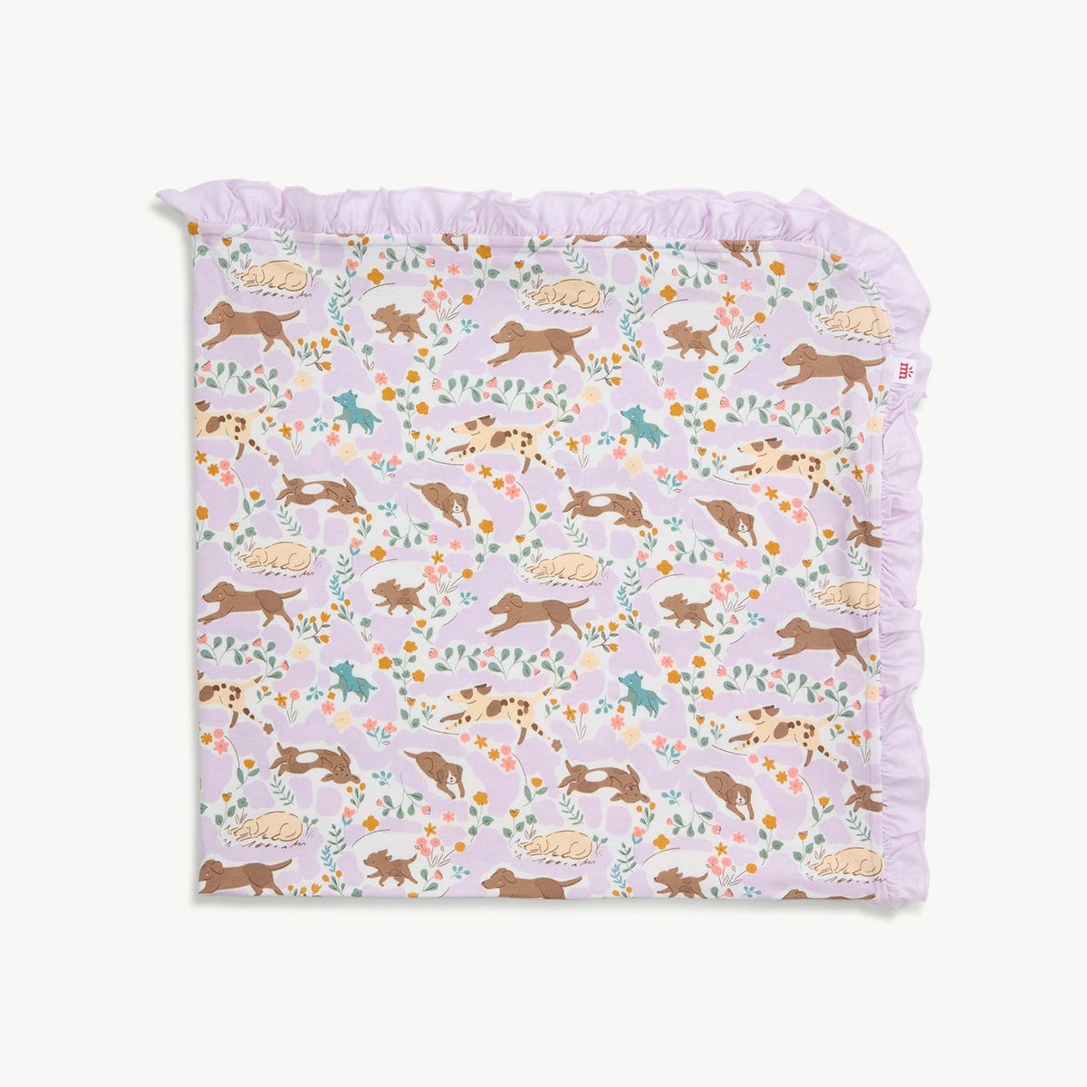 Magnetic Me Baby Blanket